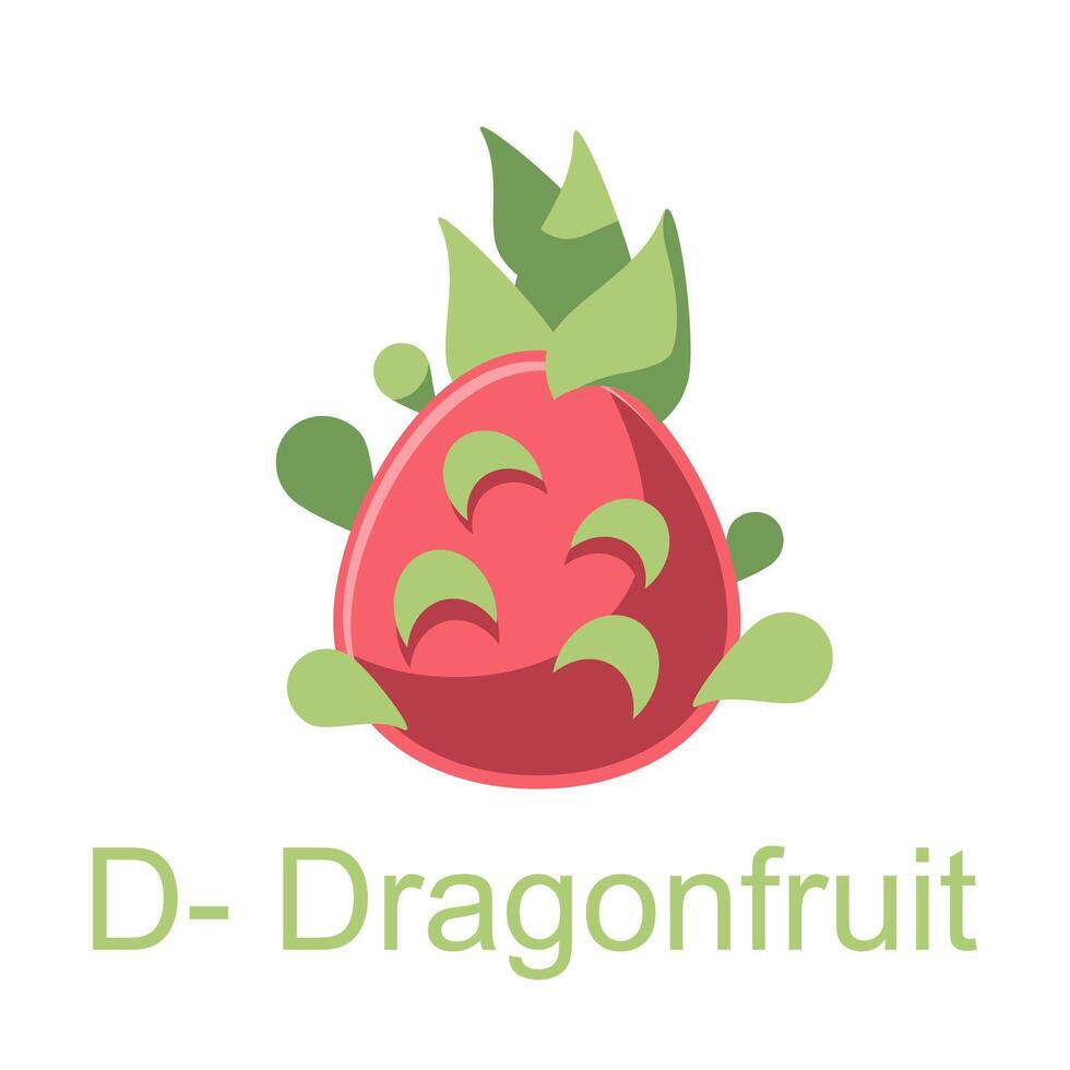 Flat illustration alphabet D for Dragonfruit, learning sheet for kids vector