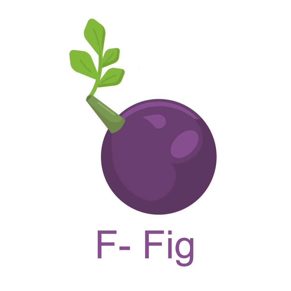 Flat illustration alphabet F for Fig, learning for kids vector
