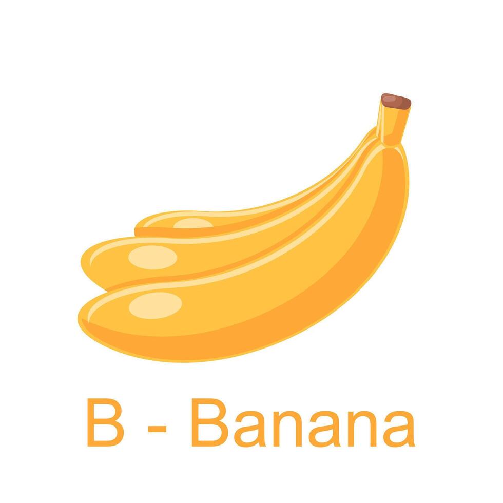 Flat illustration alphabet B for banana, learning sheet for kids vector