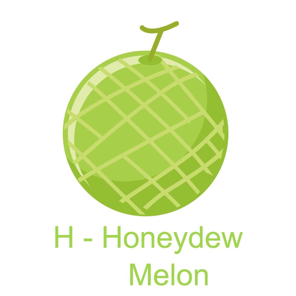 Flat illustration alphabet H for honeydew Melon, learning for kids vector