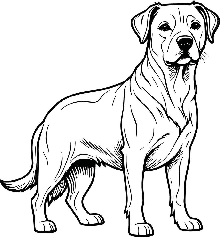 A dog is standing in a line drawing vector