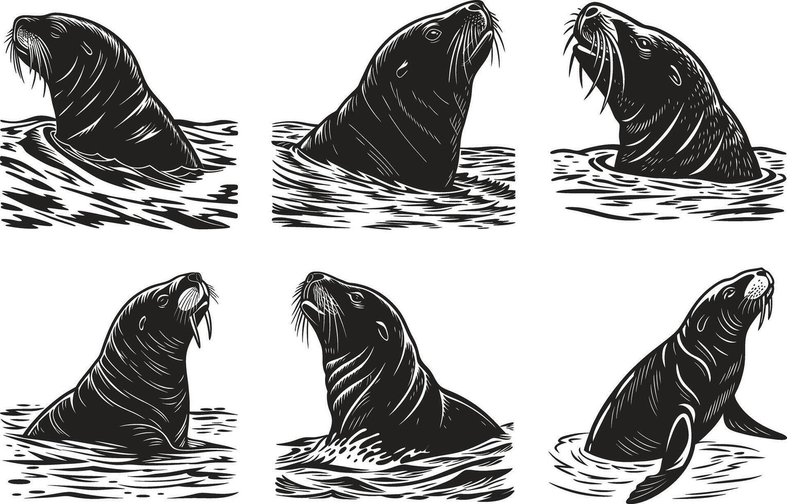 Sea Lion and Walrus Vintage Graphic Set vector
