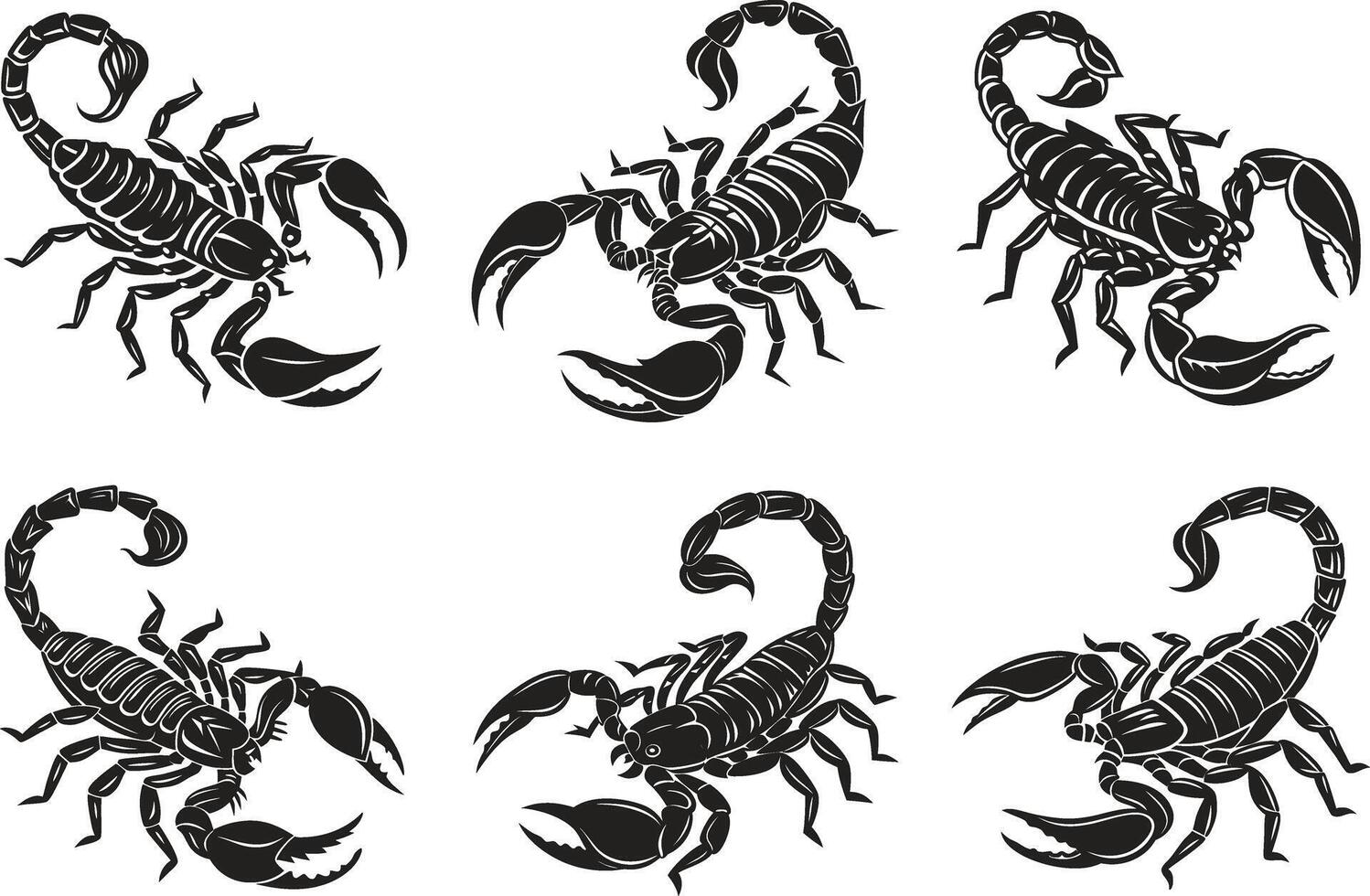 Black Scorpion Arachnid Artwork vector