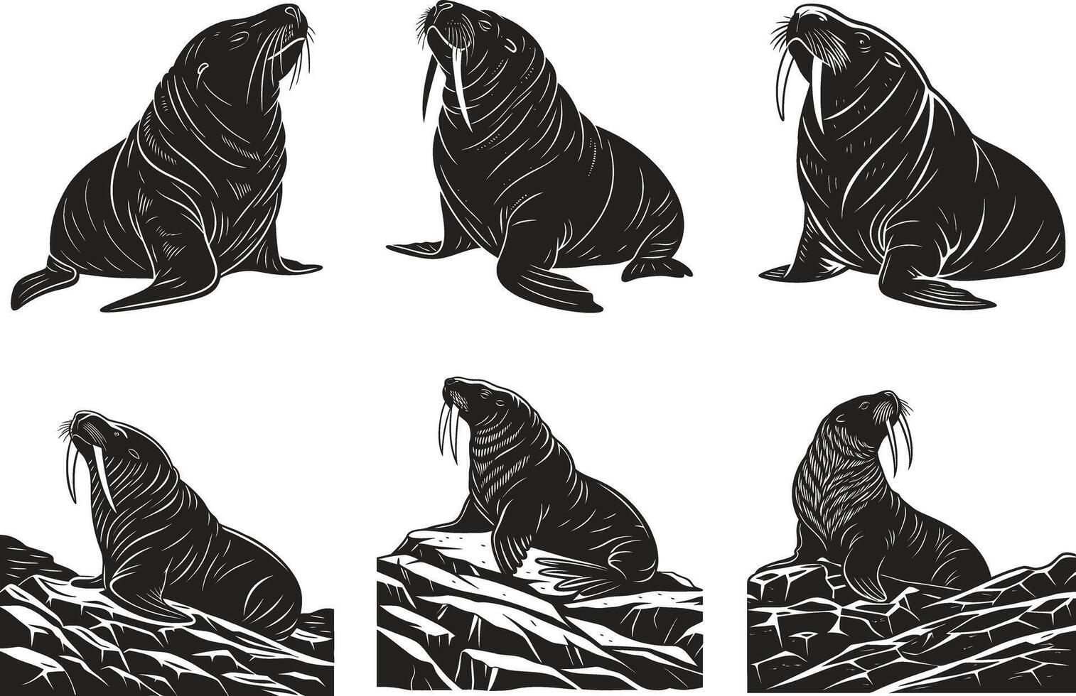 Sea Lion and Walrus Black and White Collection vector