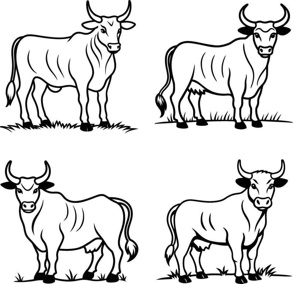Black and white cow illustration coloring page collection vector