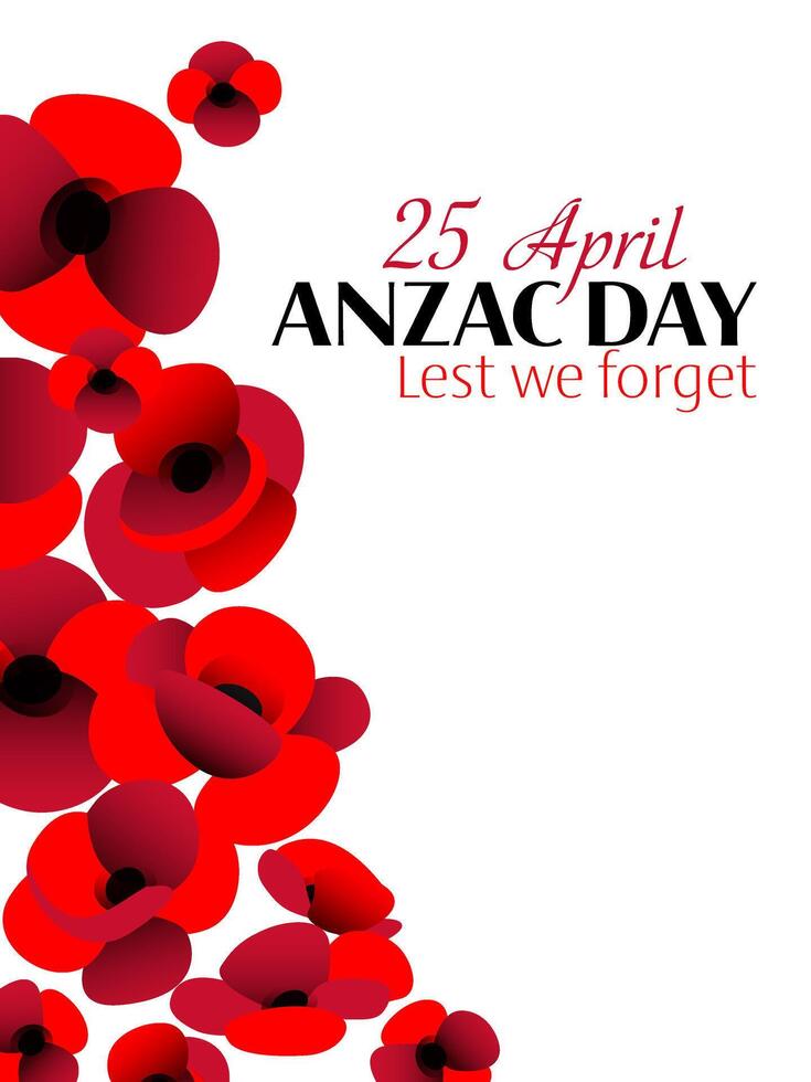 Anzac day vertical poster with poppy flowers spread on white background vector