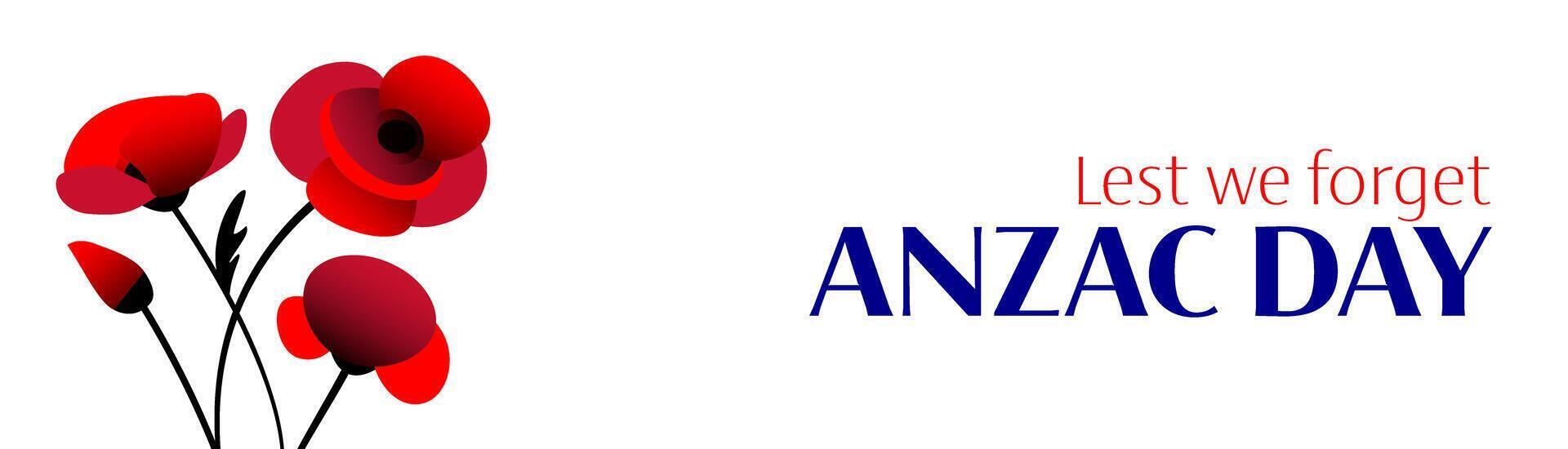 Anzac day horizontal banner with poppy flowers bouquet on white background vector