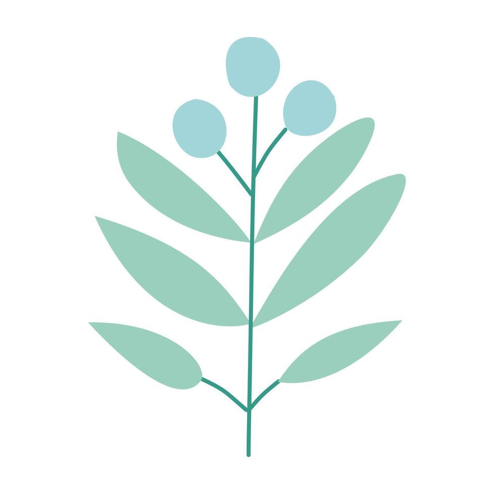 plant with leaves and berries on a white background vector