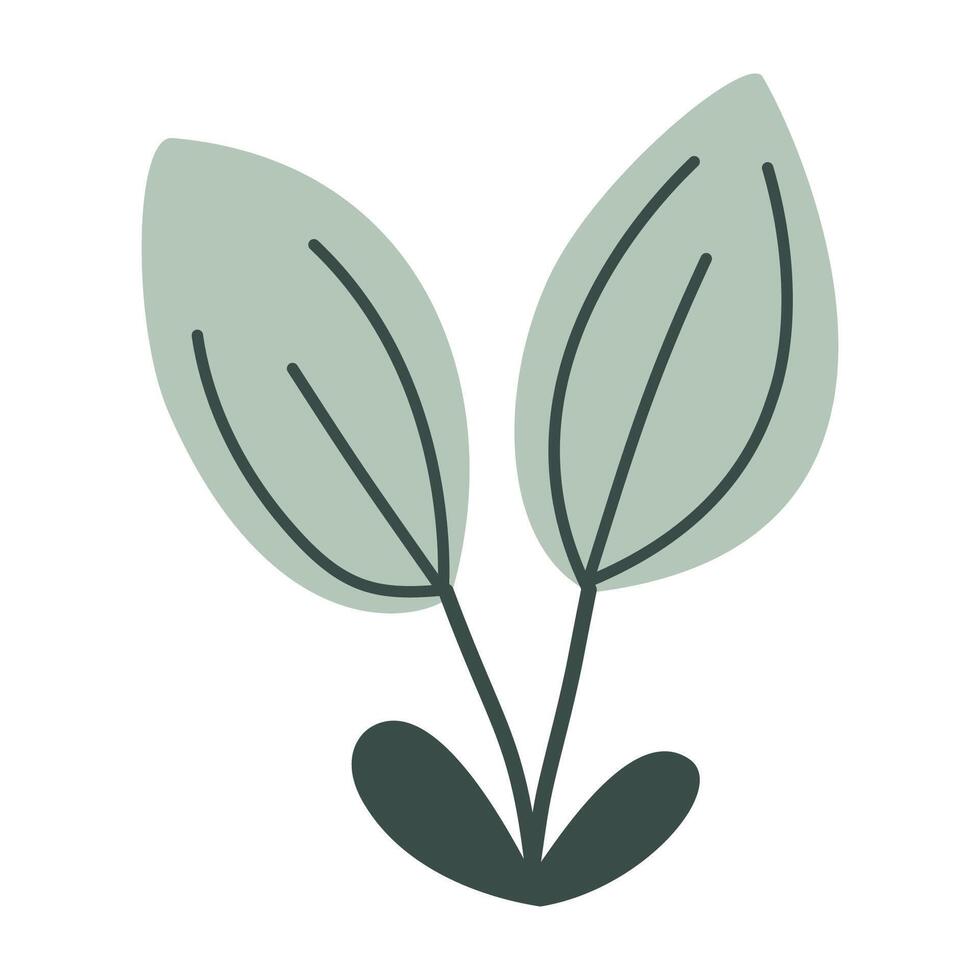 green plant with leaves flat vector