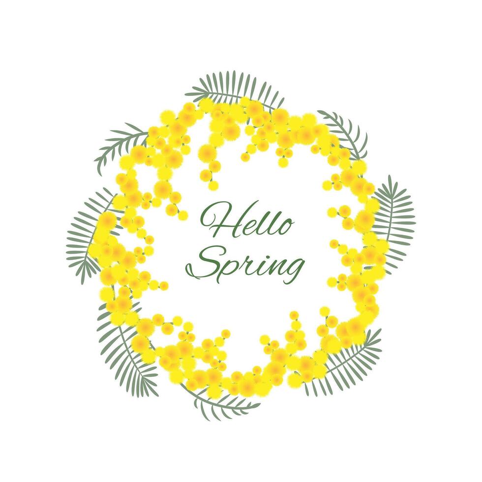 Wreath with mimosa twigs on white background. Hello Spring. Mimosa flower wreath, decorative circle composition for greeting card, illustration EPS10. vector