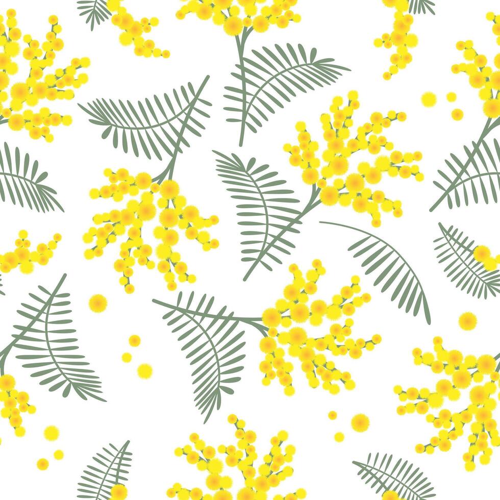 Spring seamless pattern with mimosa flowers on white background. Great for fabrics, especially for linens, wrapping papers, wallpapers. vector
