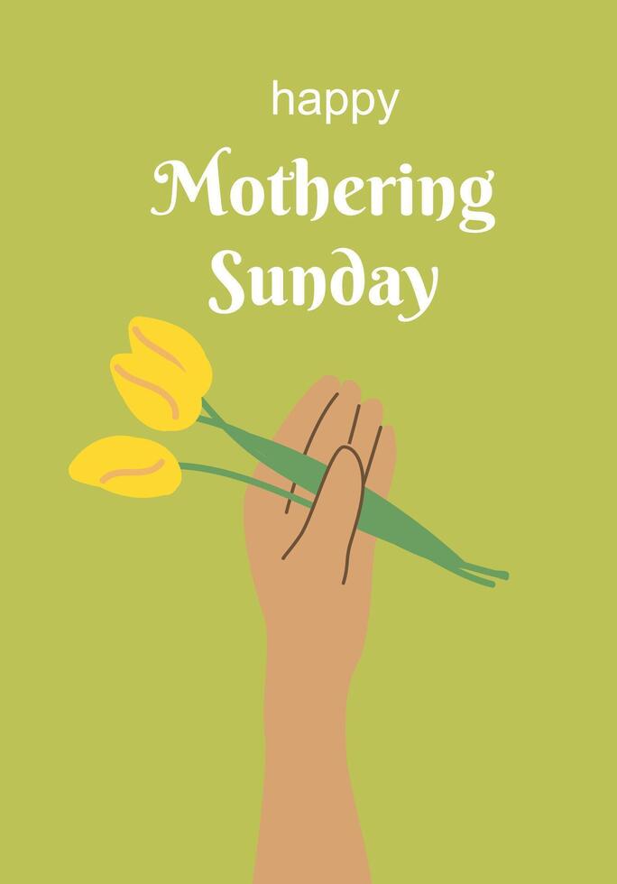 Happy mothering sunday card with hand holding yellow tulips on green background vector