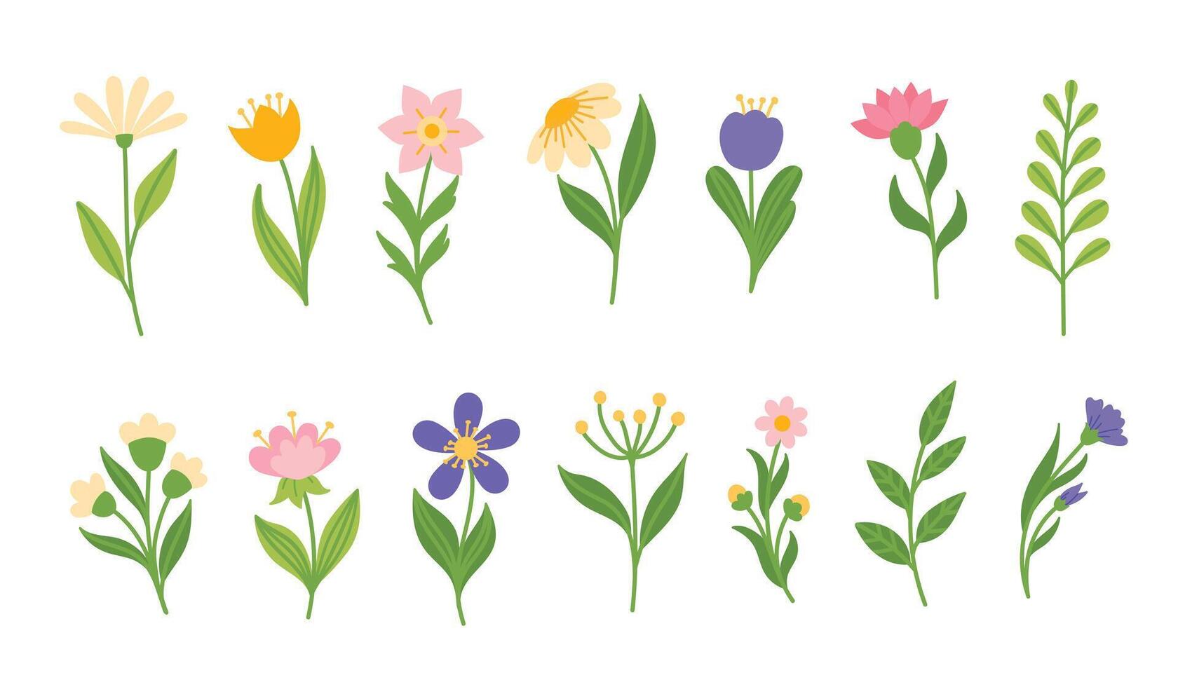 Set of bright spring and summer flowers vector