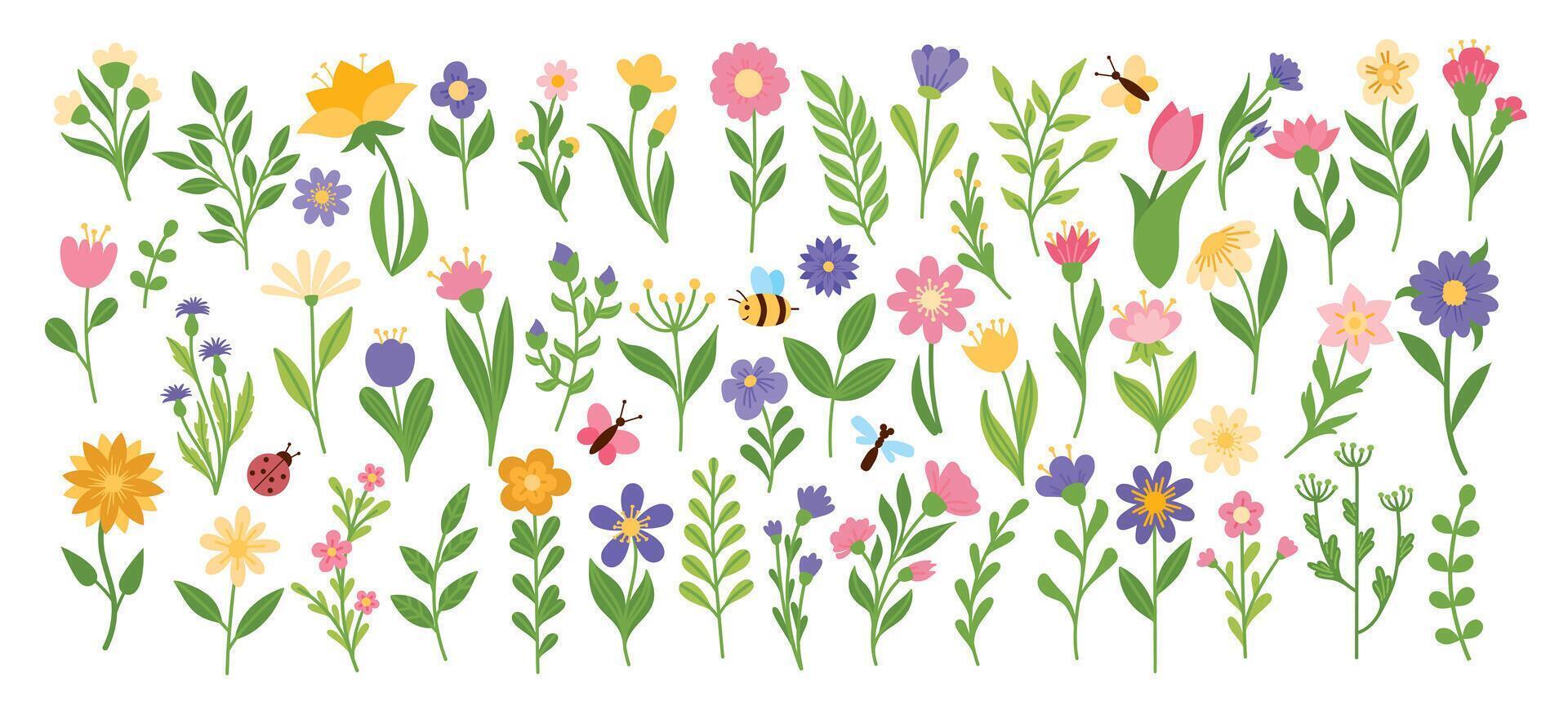Big set with flowers and butterflies vector