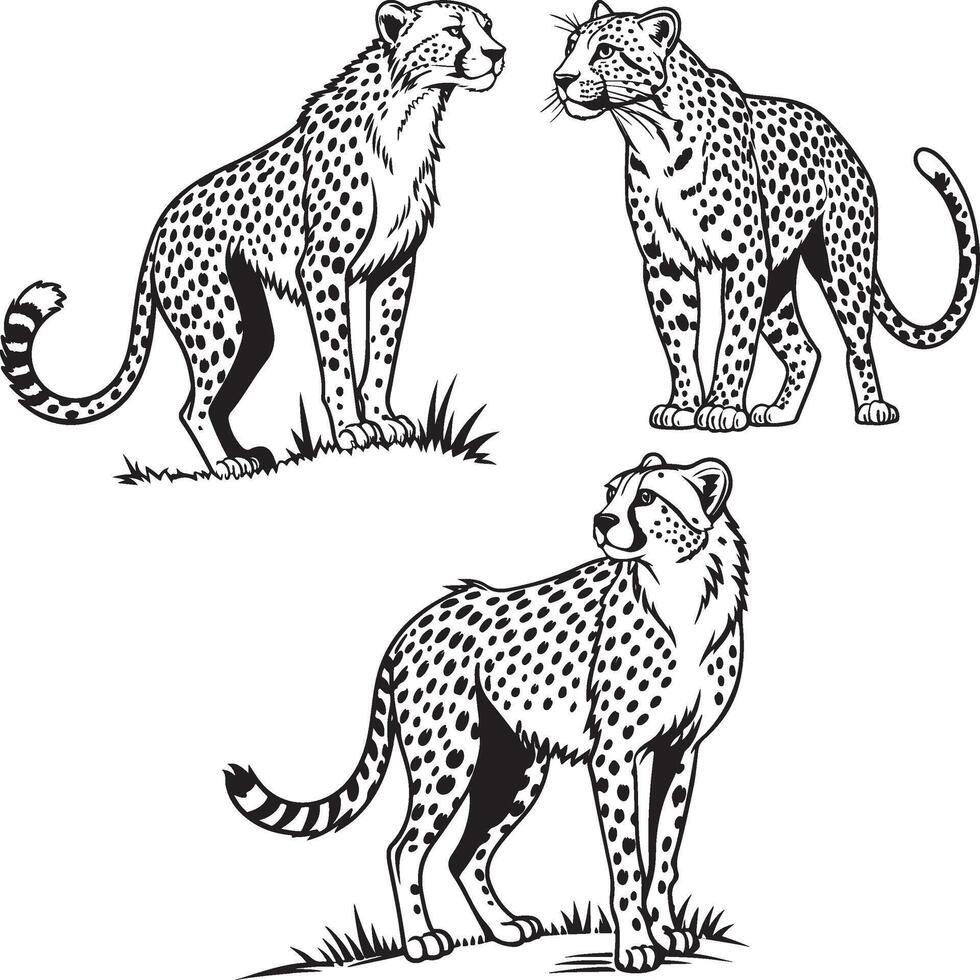 Black and White Cheetah Illustration design vector