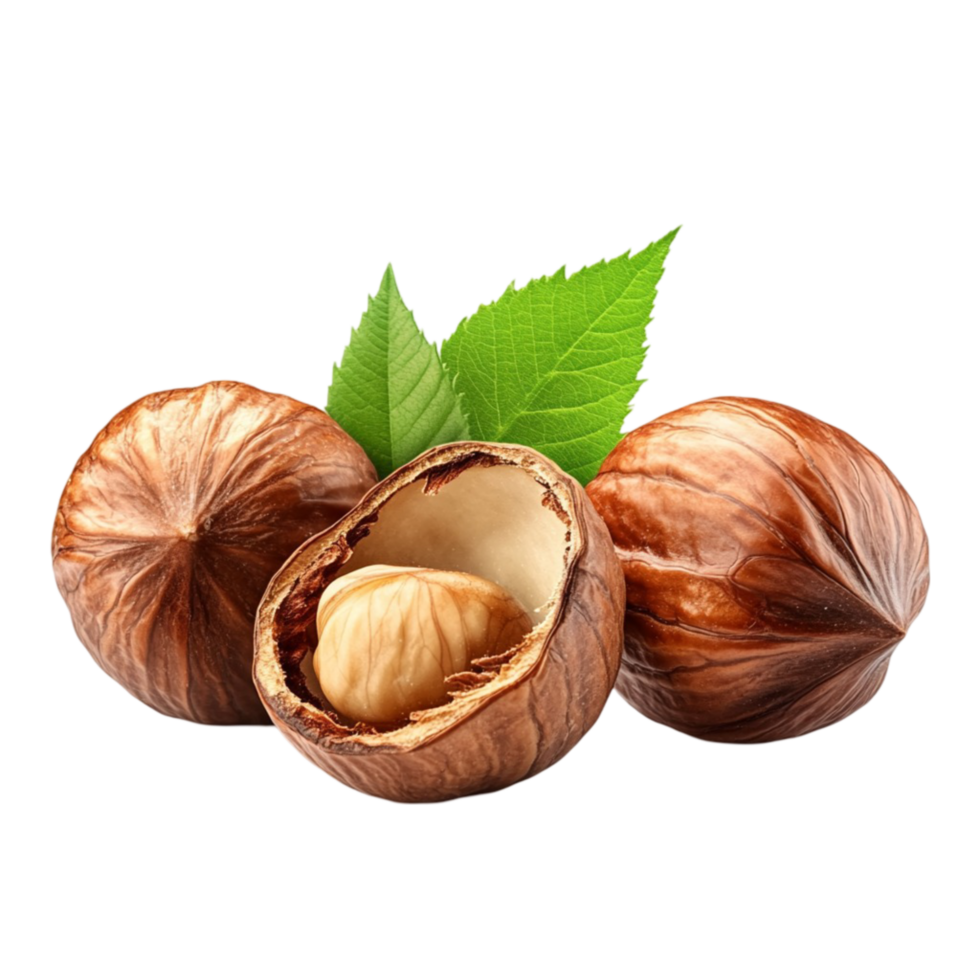 Hazelnuts with Leaves on Transparent Background png