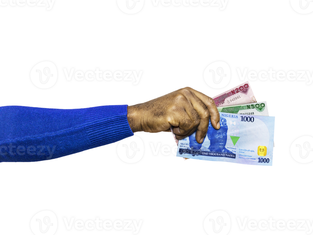 Black hand in blue long sleeves sweater holding Nigerian Naira notes isolated on transparent background png