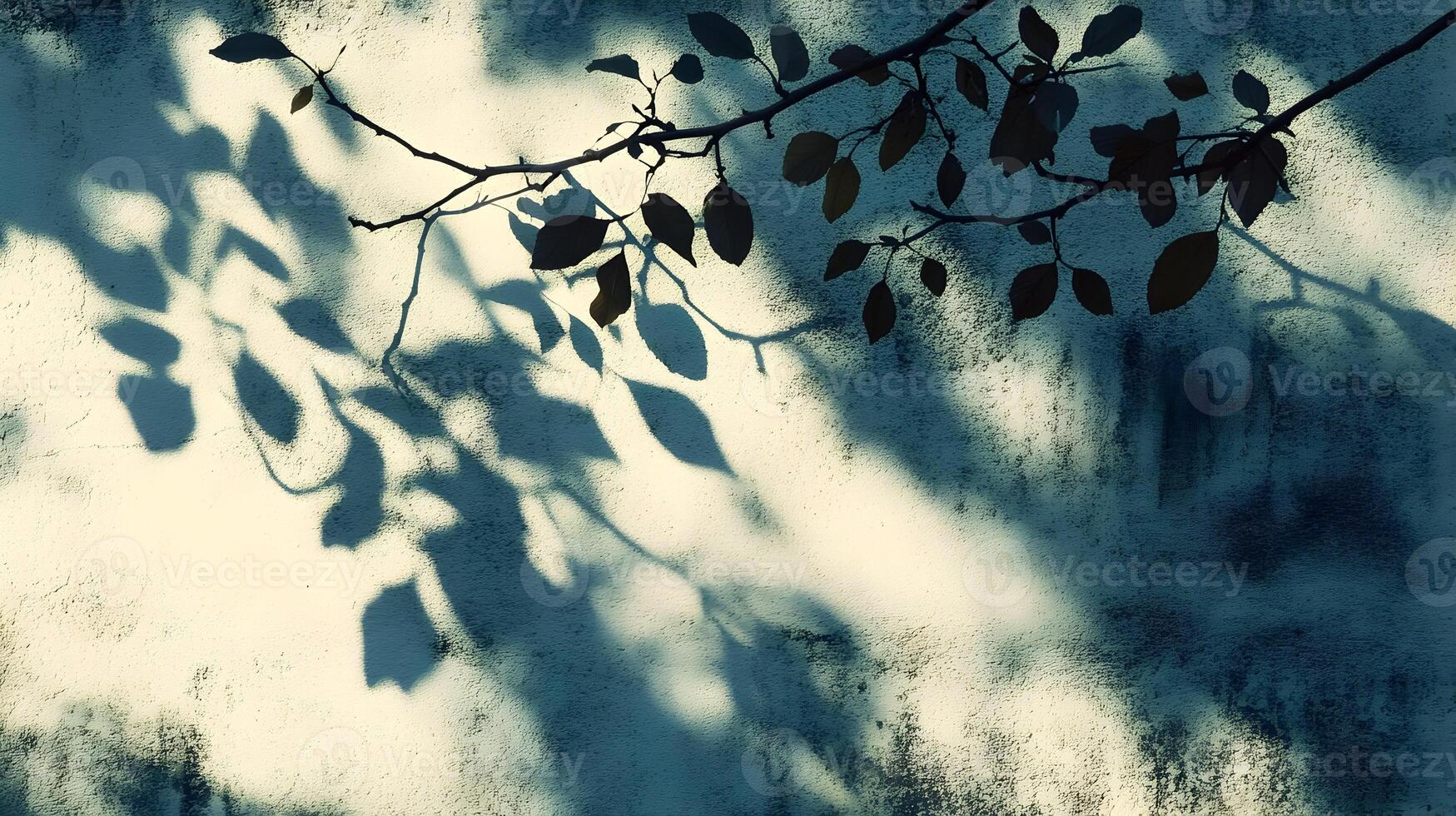 Branch shadows on textured wall. photo