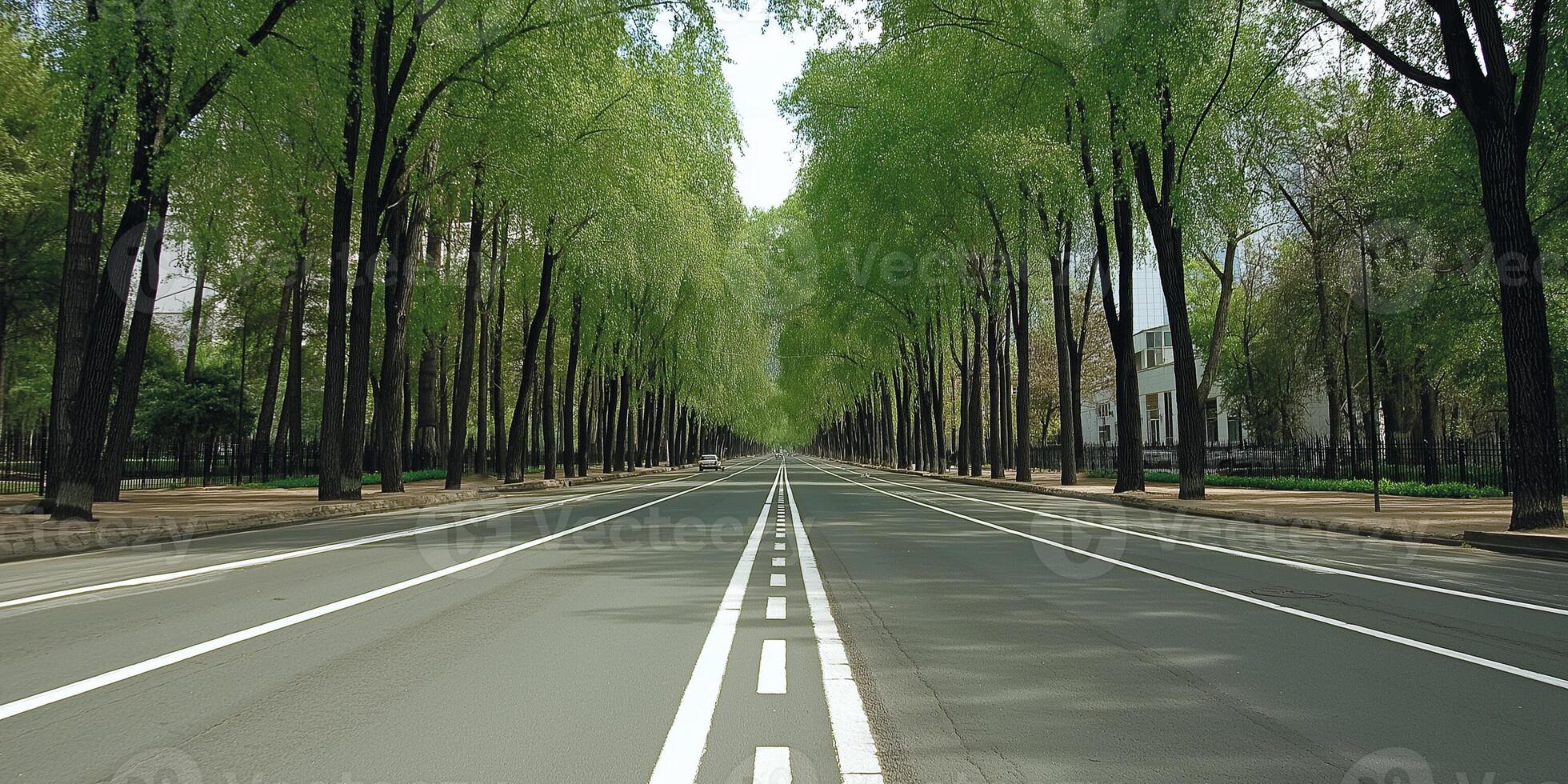 Empty asphalt road divided by green trees in a modern urban setting under a clear sky photo