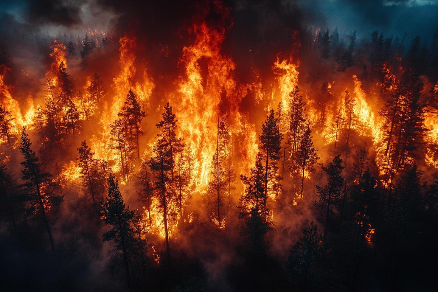 Aerial view of intense wildfire forest at night photo