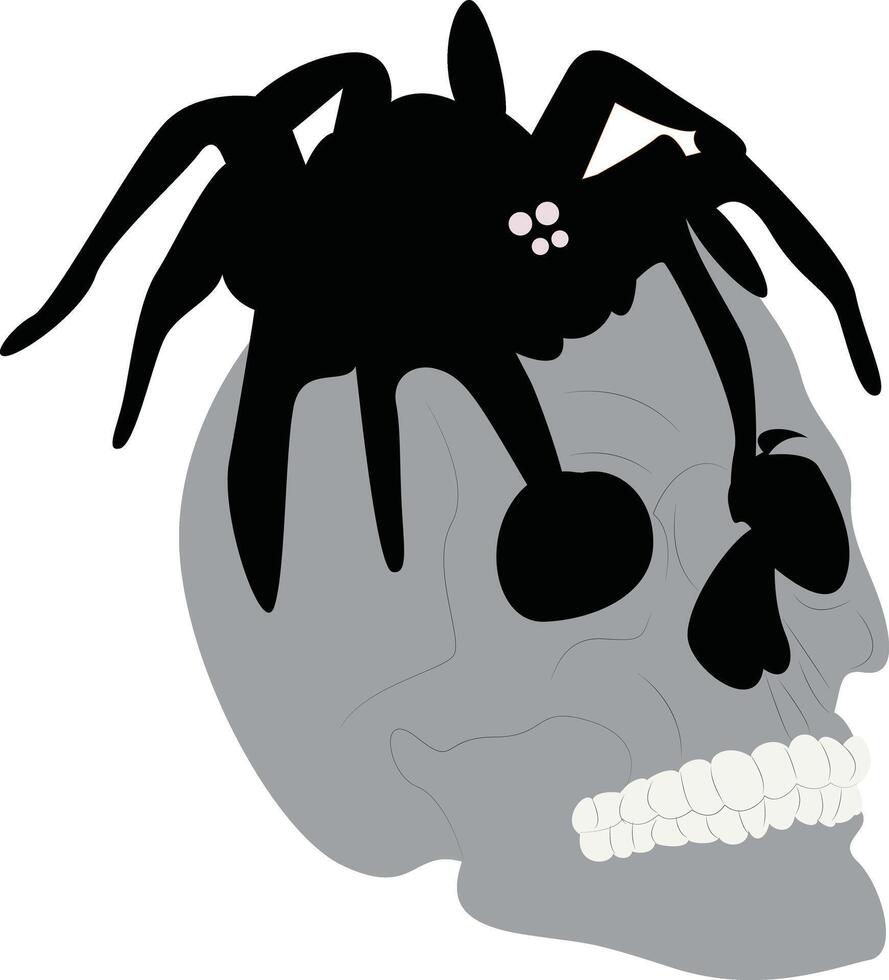 Skull Spider Halloween Spooky Art Design vector