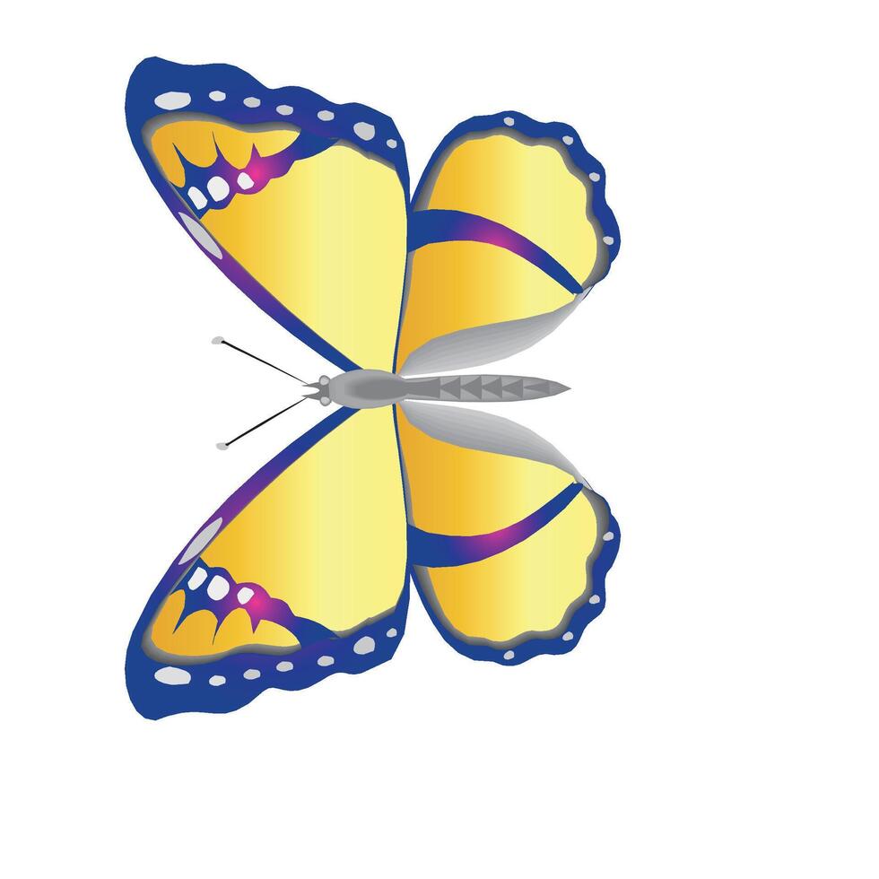 Creative Butterfly Colorful Abstract vector