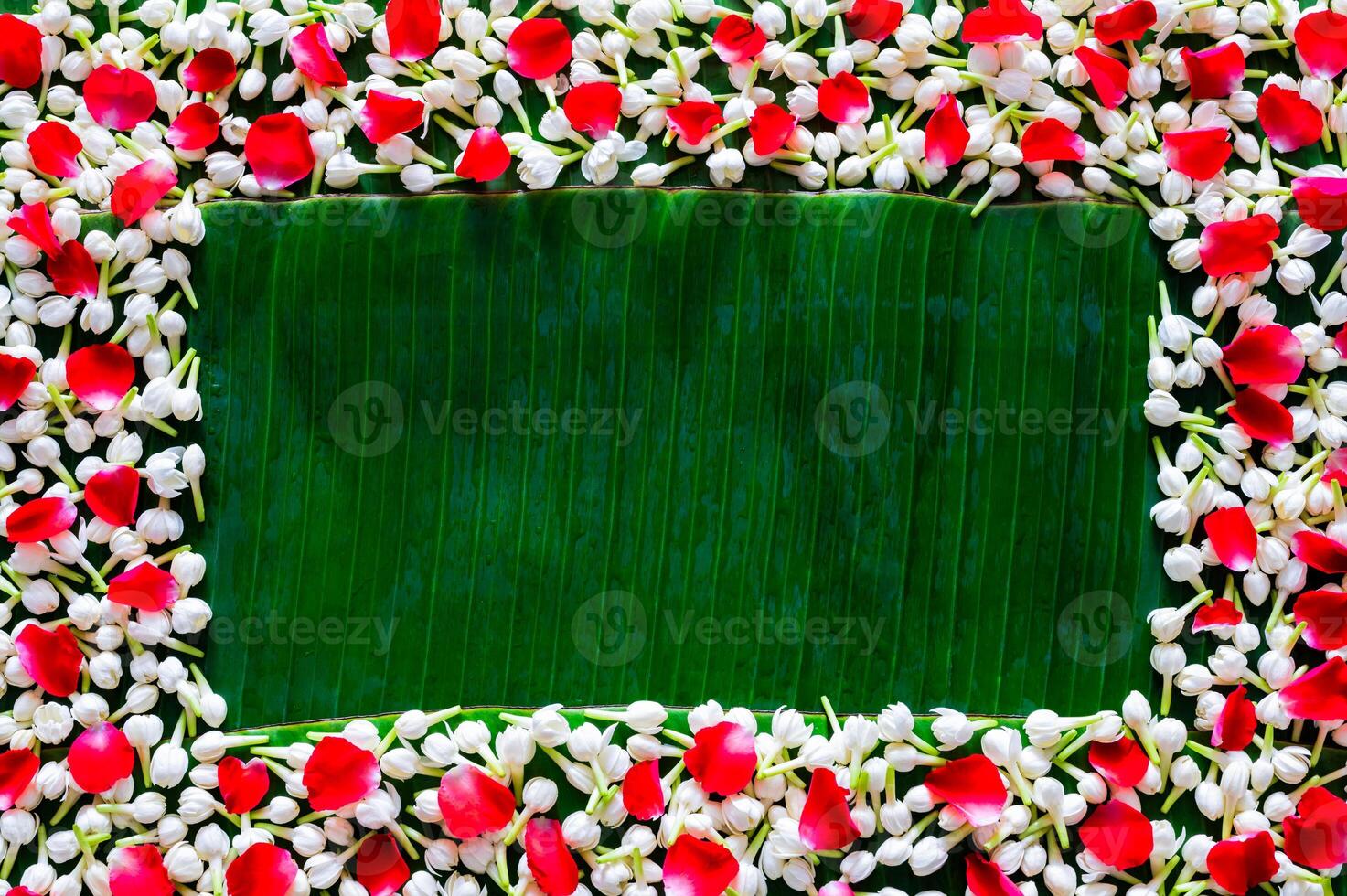 Empty space of wet banana leaf with jasmine and rose petals background for Thailand Songkran festival background. photo