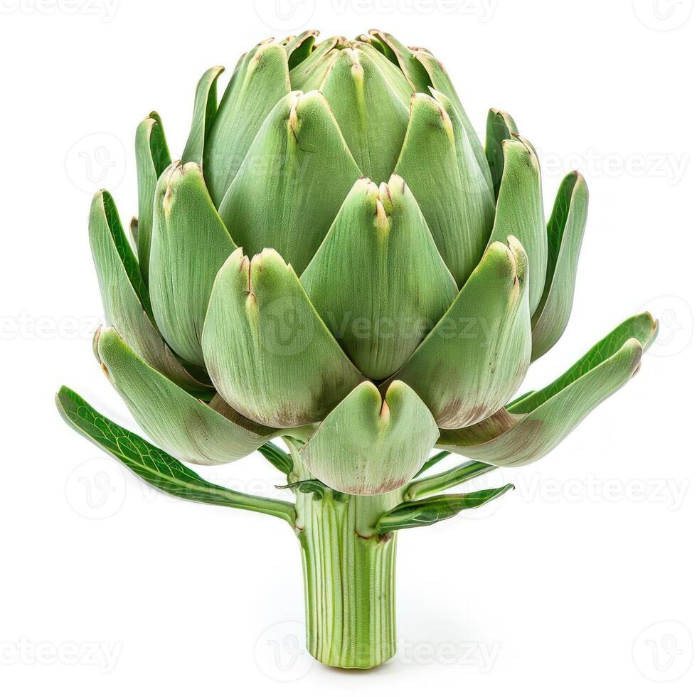Artichoke flower with green leaves and petals photo