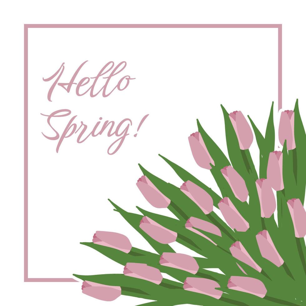 Hello spring background with hand drawn bouquet of lilac tulips. Spring, 8 march, wedding invitation, birthday background vector