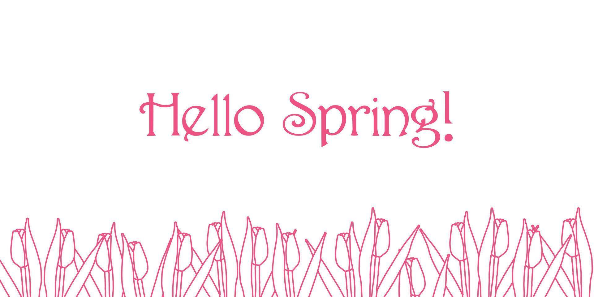 Hello spring header with hand drawn outline pink tulips. Spring, 8 march, wedding invitation, birthday background vector