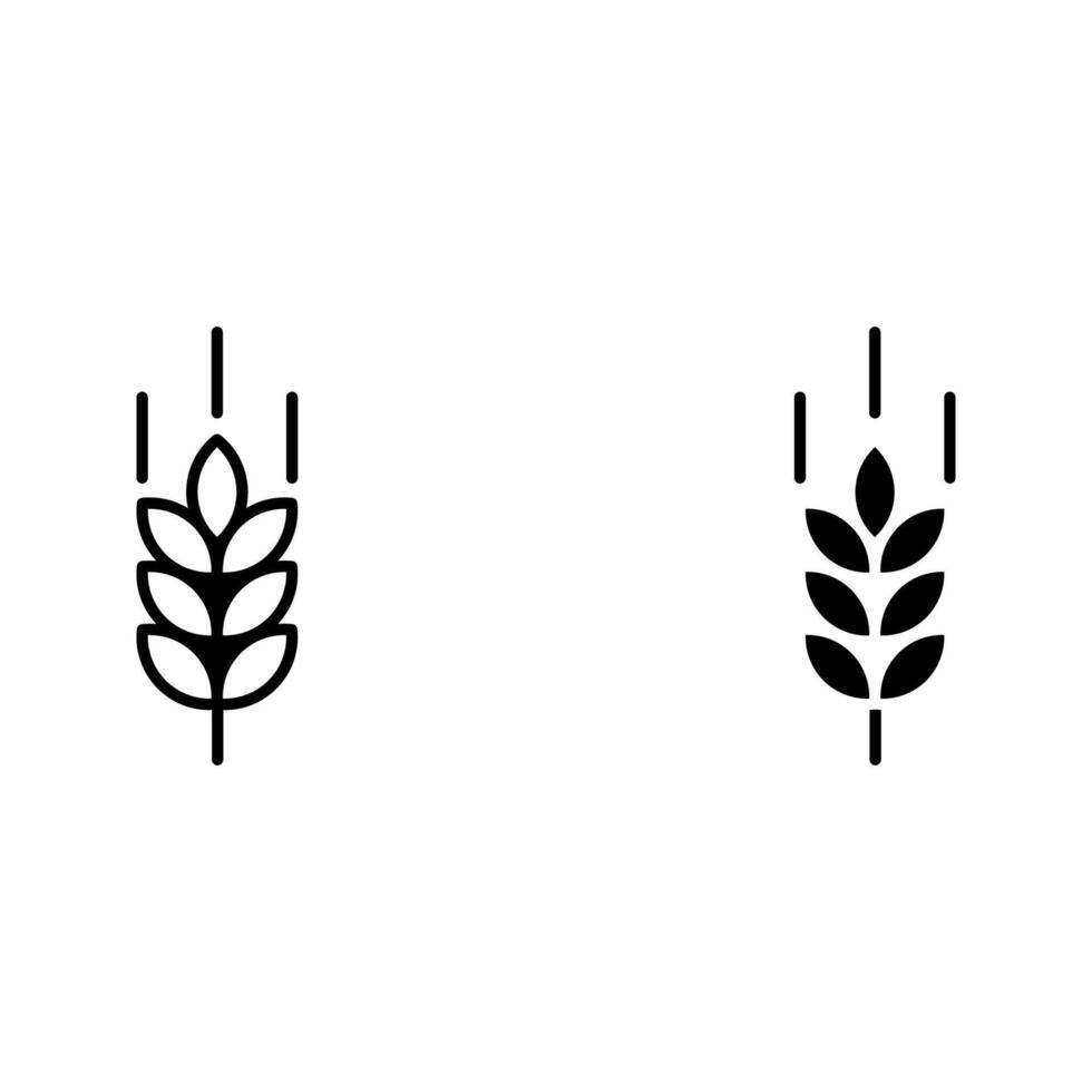wheat ear icon vector
