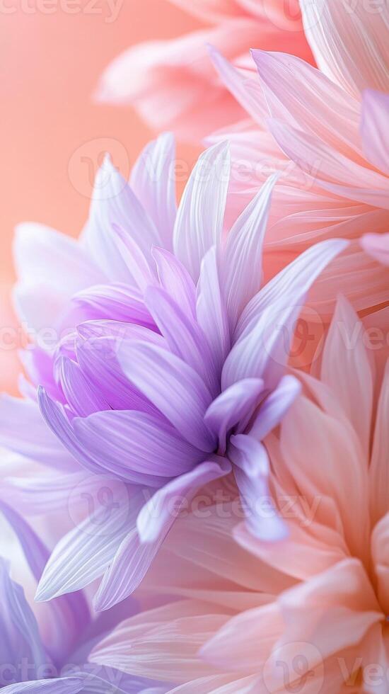 Soft pastel colored petals overlap, creating themed beautiful, textured background, ideal a romantic or spring for projects background photo