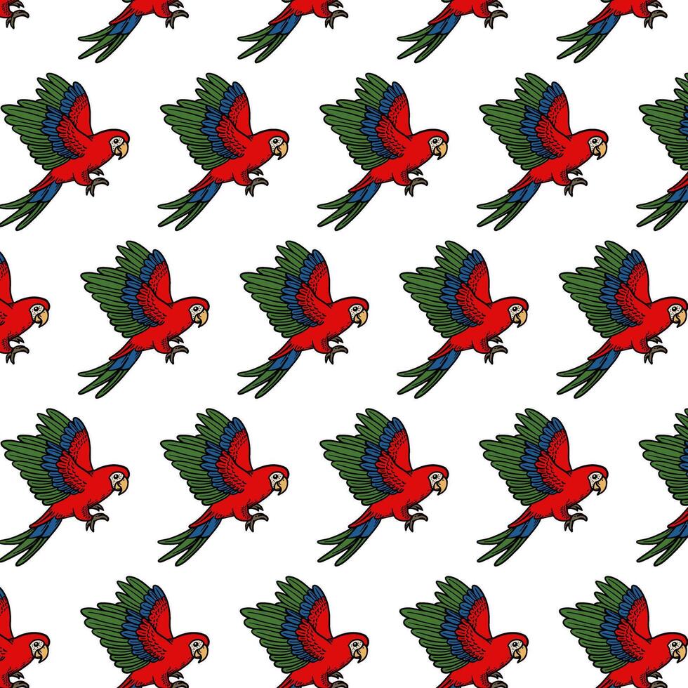 parrot bird hand drawing pattern illustration vector