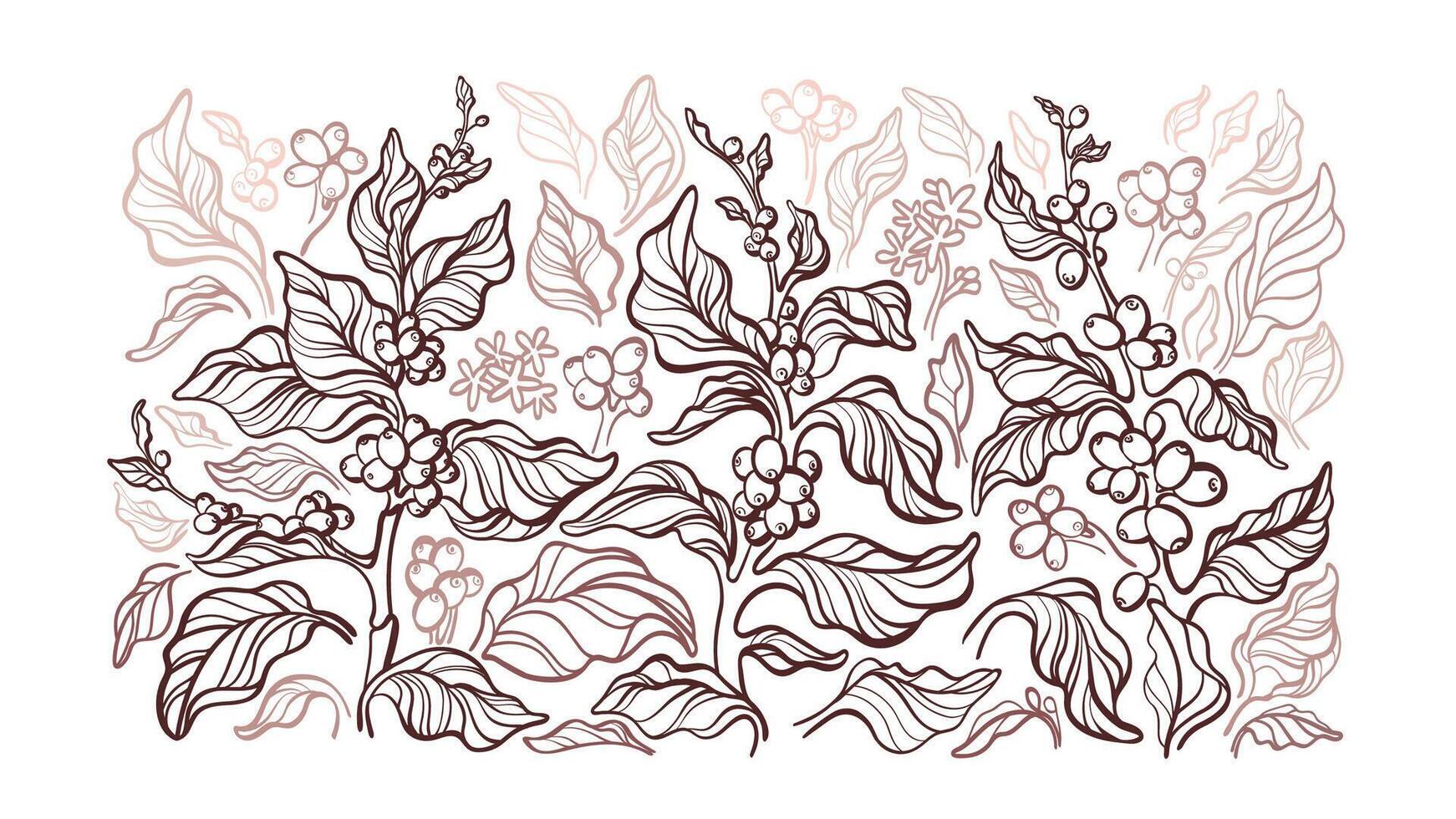 Coffee. art illustration Graphic background vector