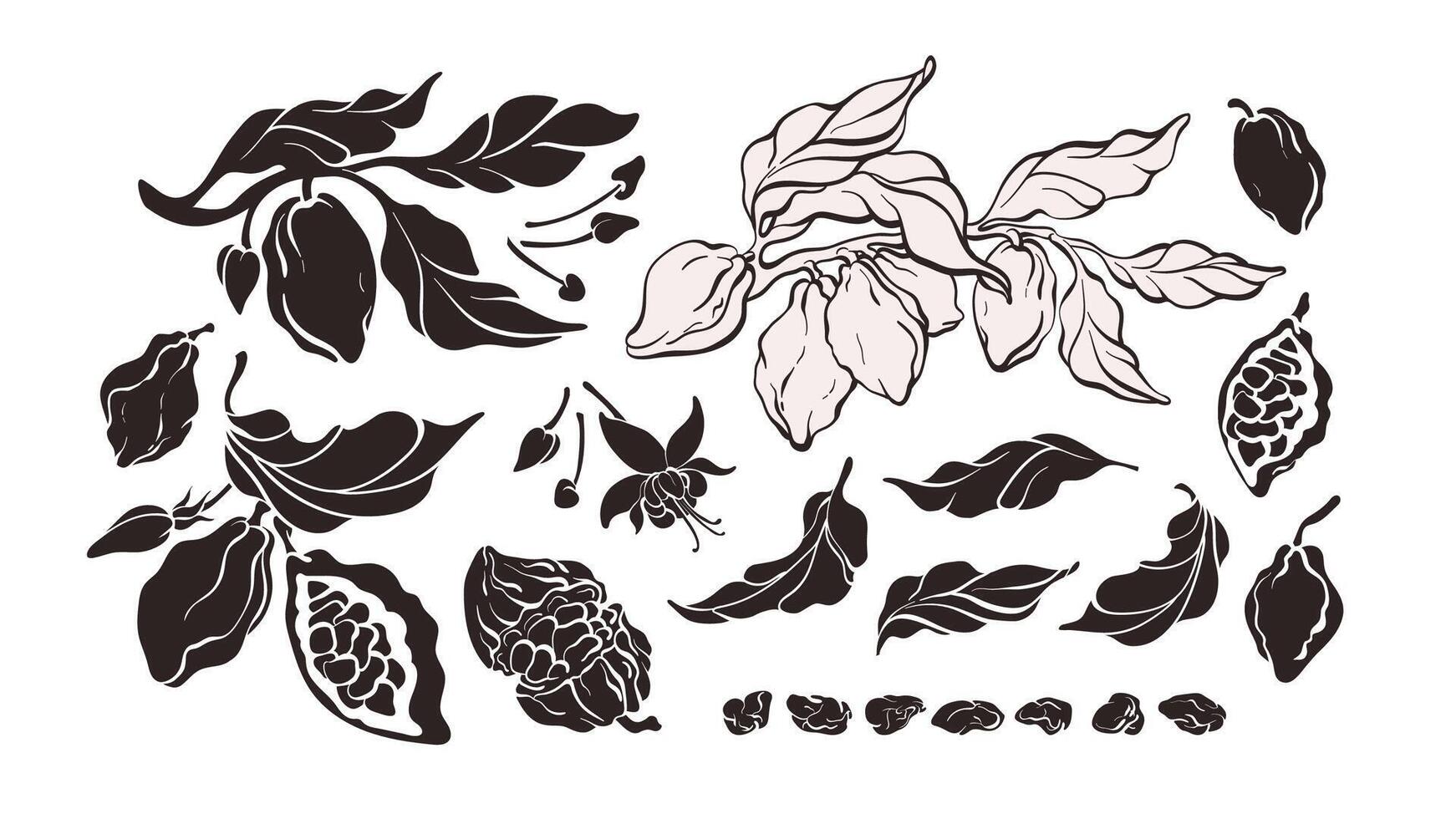 Cocoa silhouette set. tree, isolate bean vector