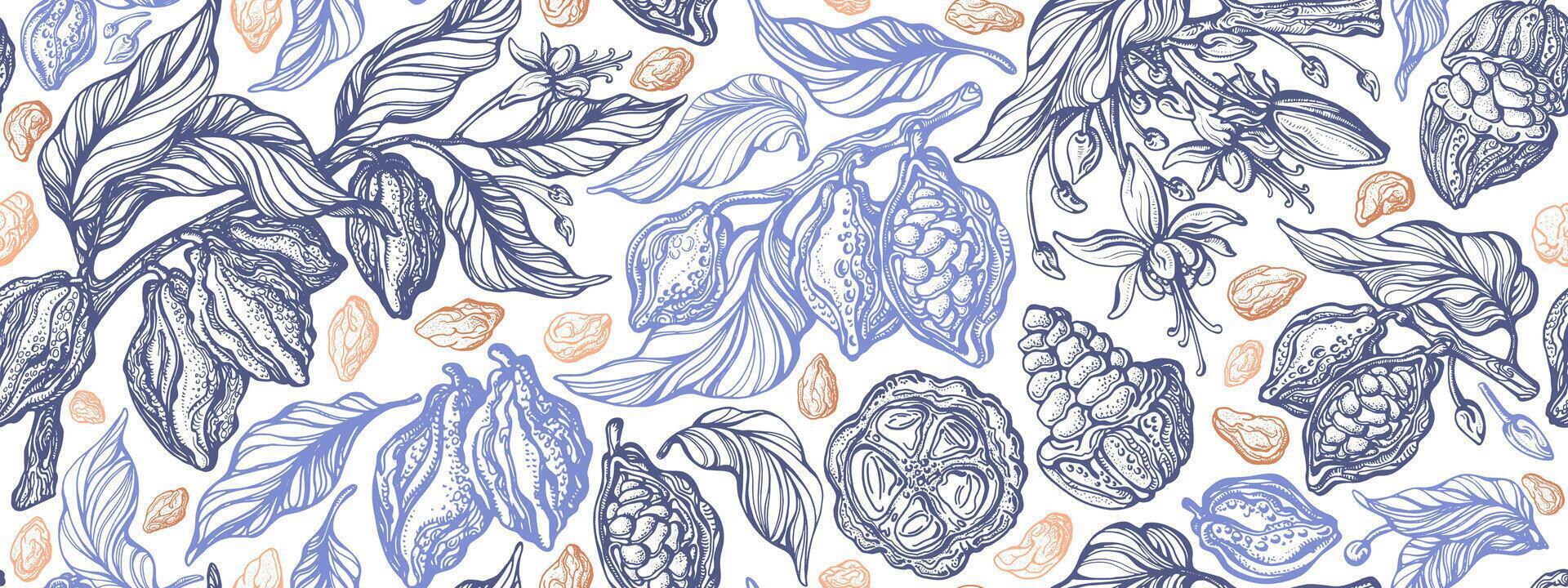 Cocoa sketch pattern Chocolate bean, leaves, fruit vector