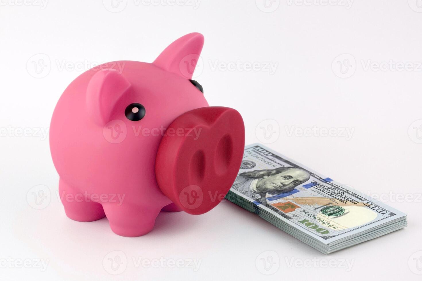 The pink piggy bank and dollars on white table. photo