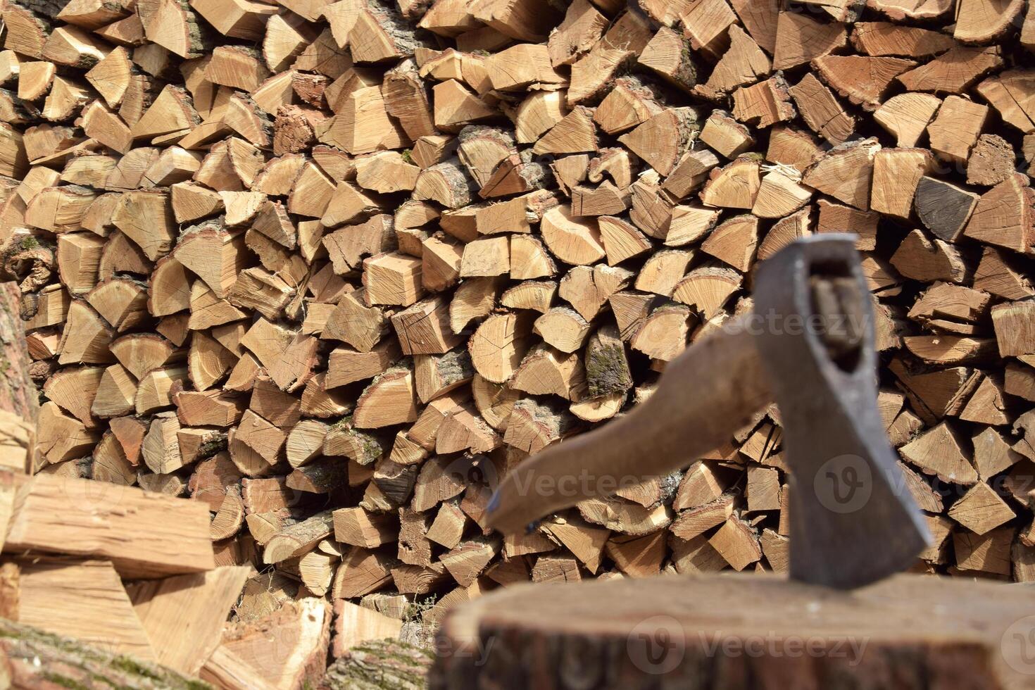 The chopped tree was piled in a pile. photo