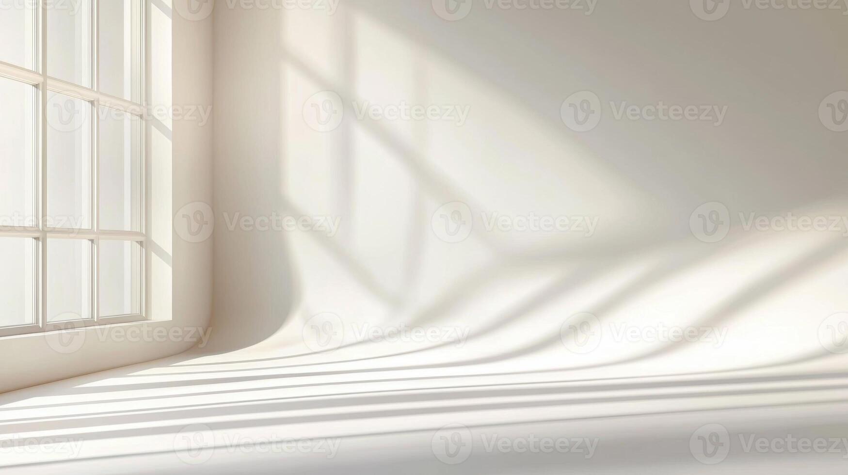 Sunlight illuminating white wall in empty room Minimalistic abstract simple with potted casting shadows on the floor and wall Copy space for text photo