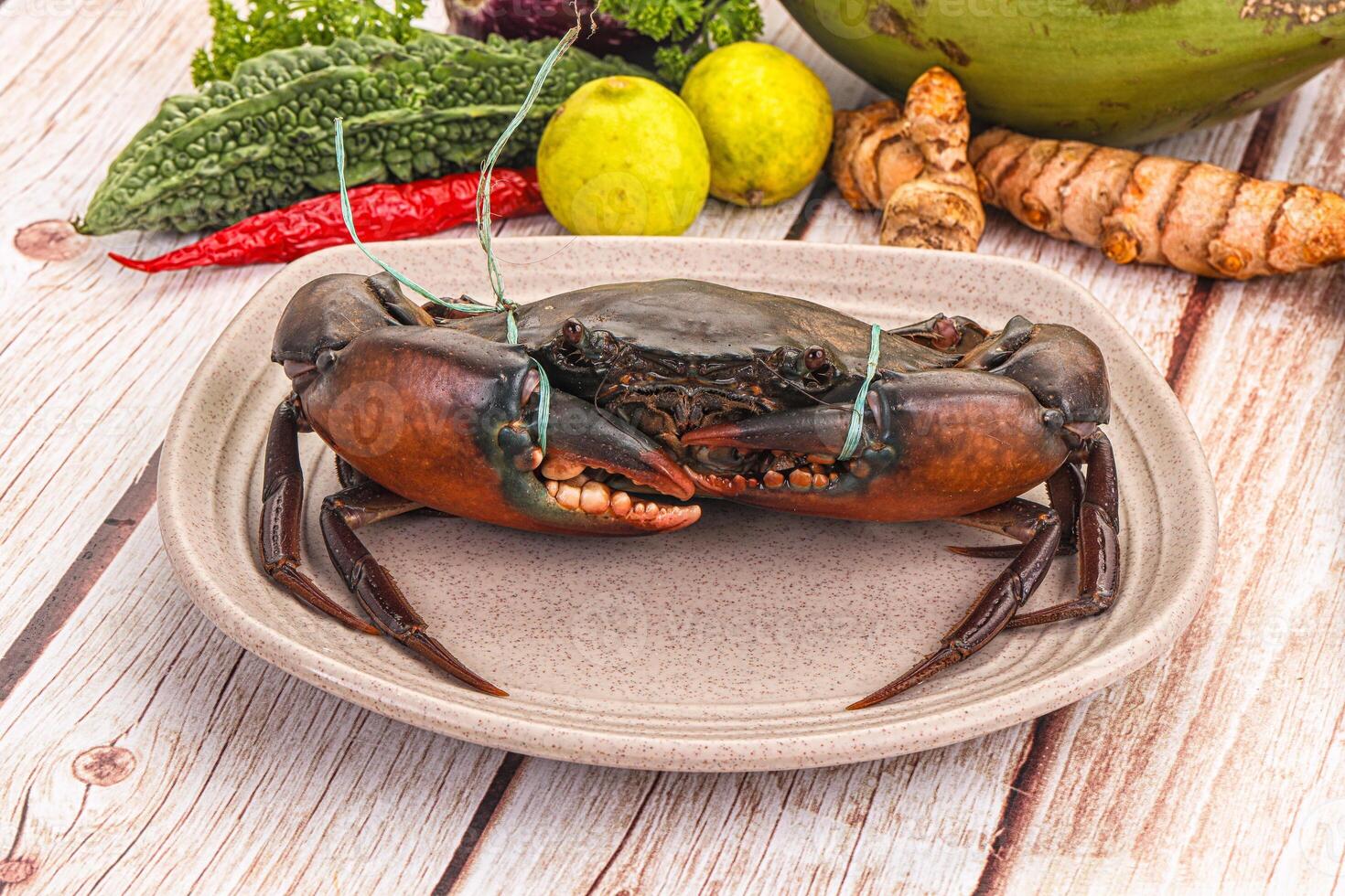 A crab on a plate photo