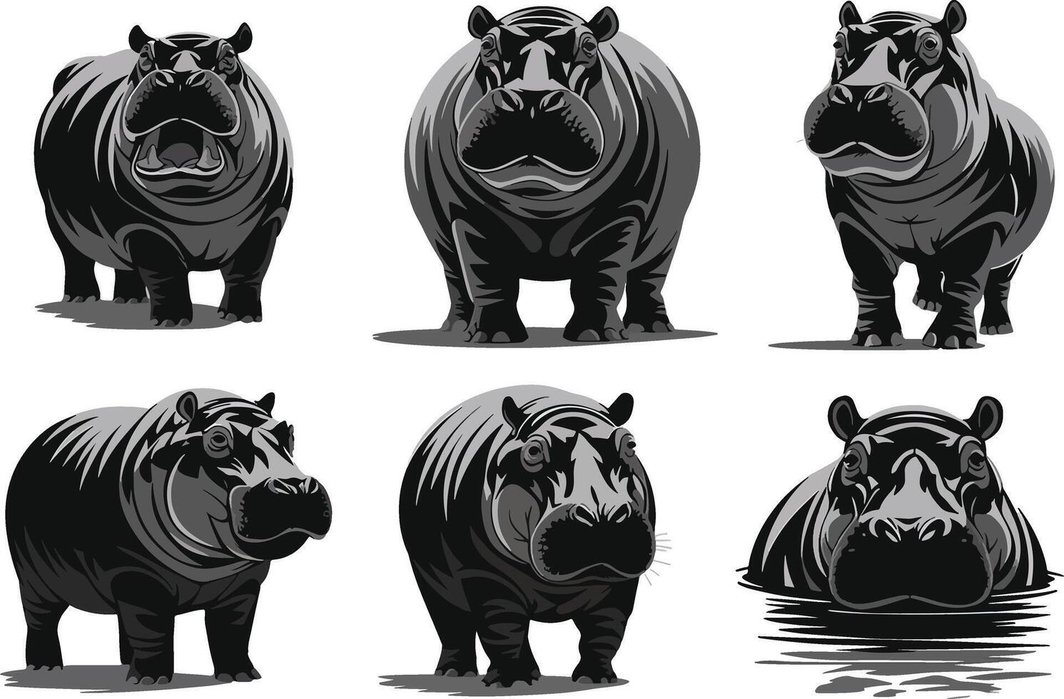 Hippos in Various Poses vector