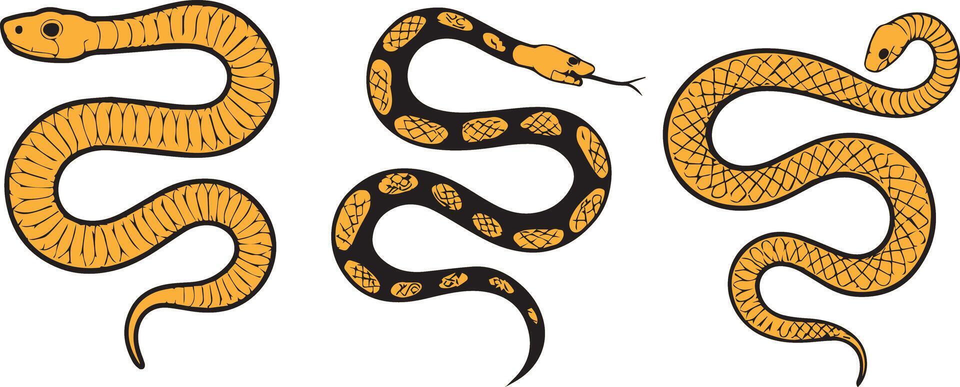 Three Snakes Illustration vector