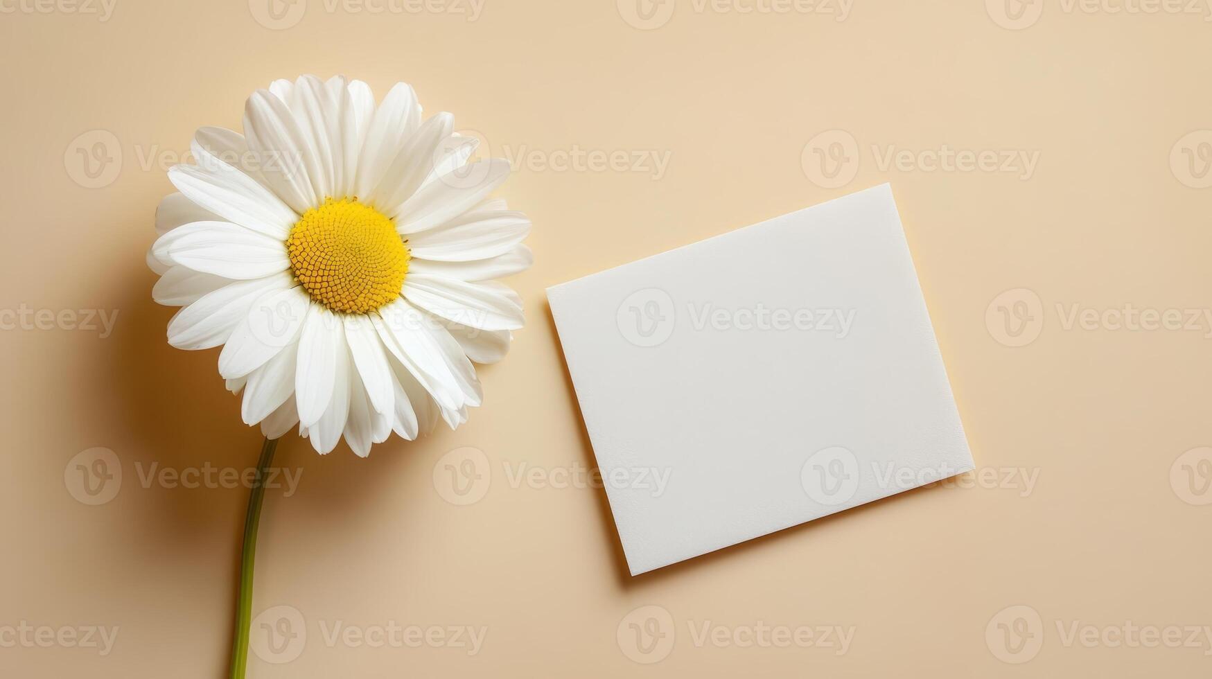 A beautiful white daisy flower sits gracefully beside a blank card, all resting on a soft beige surface, perfect for writing personalized messages or heartfelt notes photo