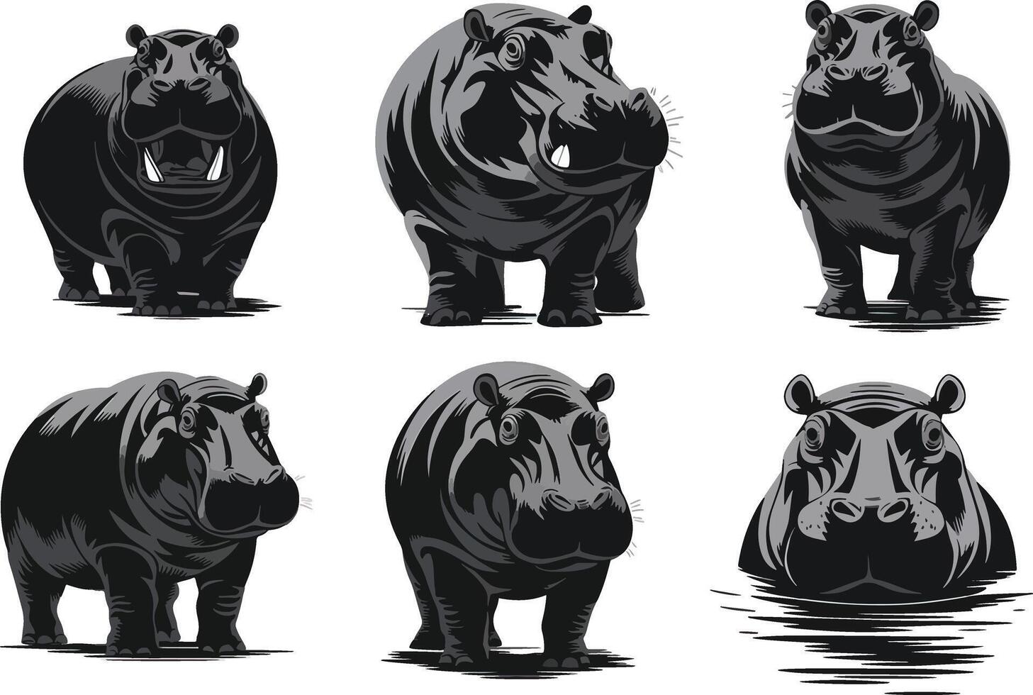 Hippopotamus Poses Set hippopotamus standing vector