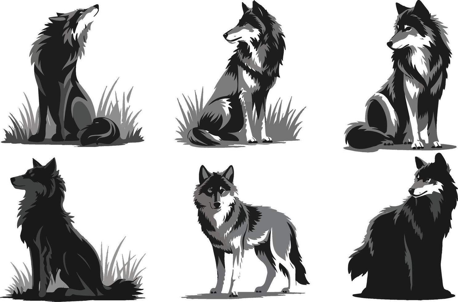 Six gray wolf illustrations vector