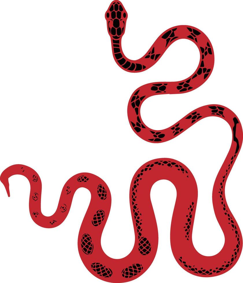 Red Coiled Snake Illustration vector