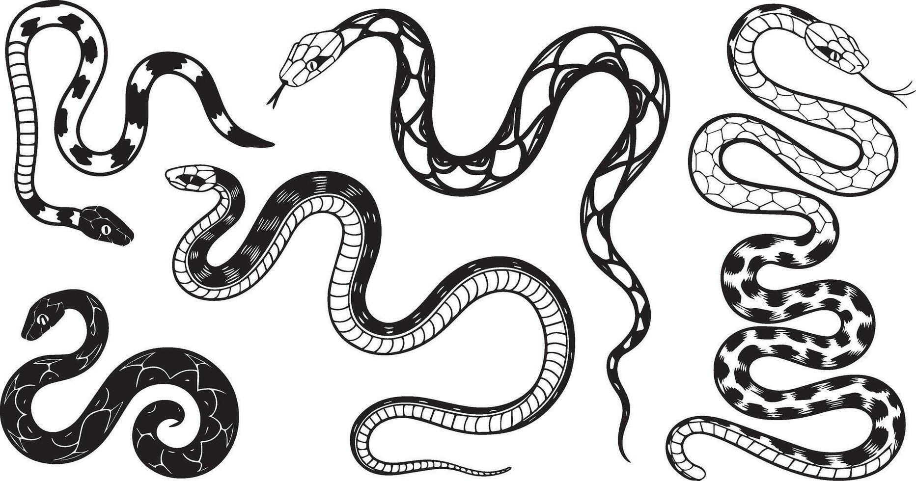 Snake Tattoo Designs vector