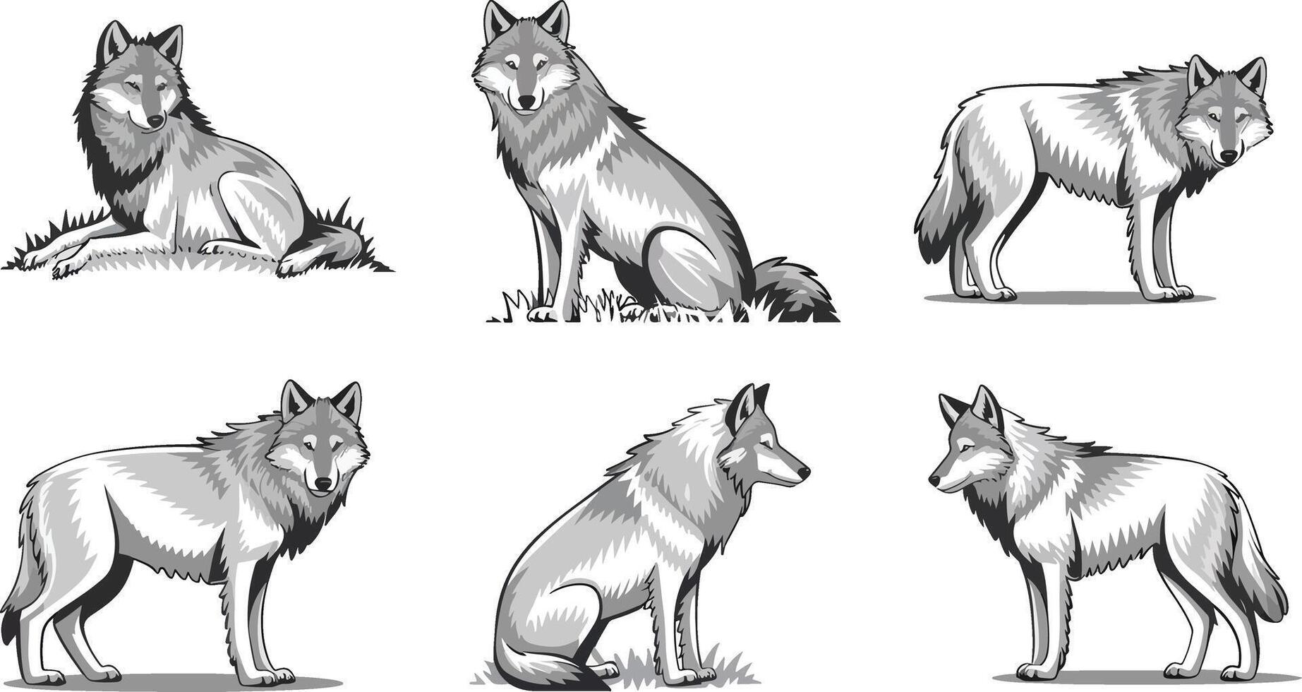 Collection of black and white wolf illustrations in various poses vector