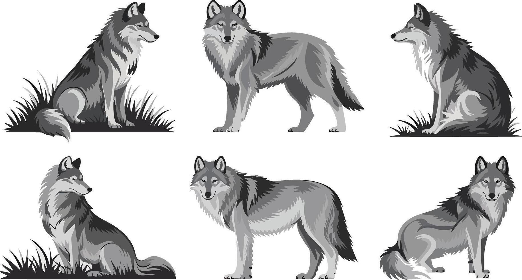 A pack of gray wolves sitting together in a field vector