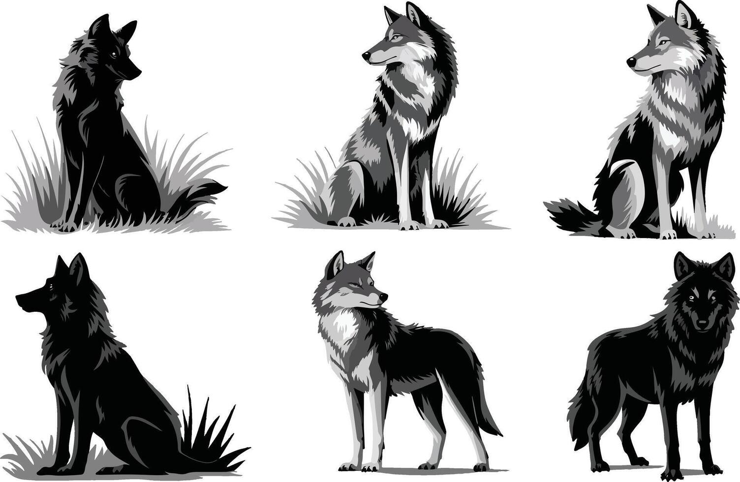 Six Grey Wolves in Different Poses vector